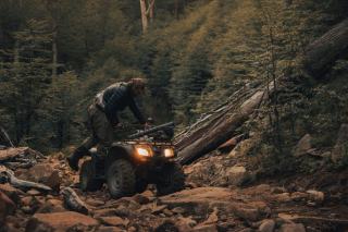 Yamaha Wolverine : SSV japonais fiable pour le tout-terrain